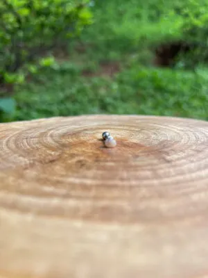 Piercing Coração